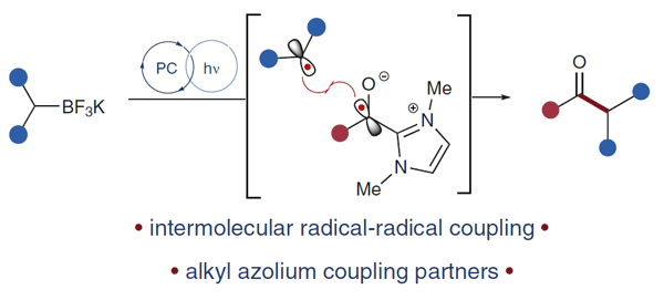 Photoredox-Catalyzed Radical–Radical Coupling.gif