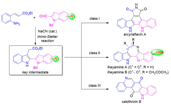 1-Total Syntheses of 2,2′-Biindolyl Alkaloids.gif