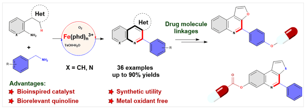 14-Synthesis of Furo- and Thienoquinolines.gif