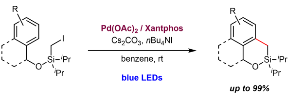 18-Visible-Light-Photoexcited Palladium-Catalyzed.gif