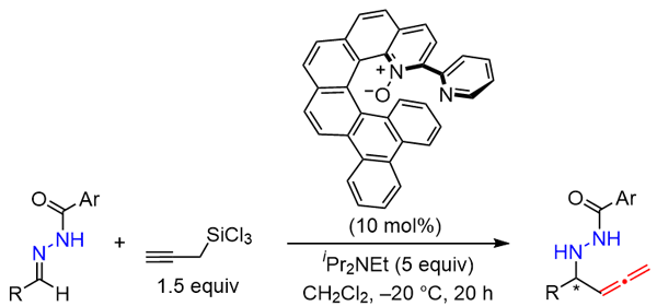 20-Asymmetric Allenylation of N-Acylhydrazones.gif