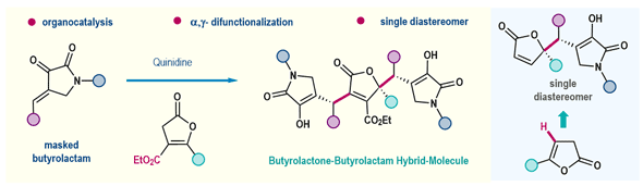 21-Organocatalyzed Regioselective α,γ-Difunctionalization.gif