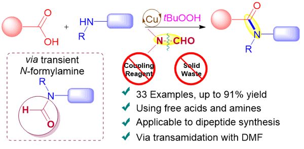 24-Copper-Catalyzed Construction of Amide Linkages.gif
