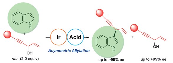 26-Iridium-Catalyzed Asymmetric Allylation of Indoles.gif