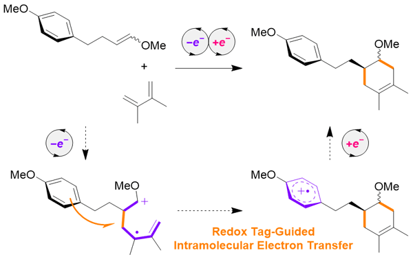 Redox-Tag-Guided Radical Cation.gif