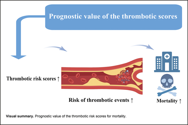 The Prognostic Value of t.jpg