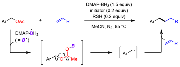Boryl Radical-Promoted Deoxygenative.gif