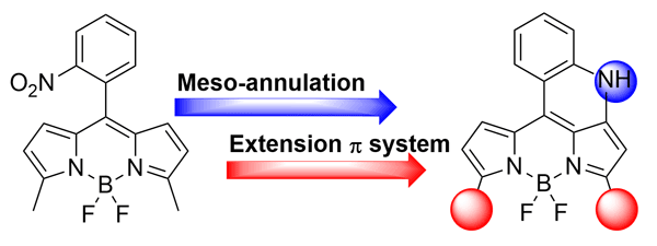 3-3,5-Styryl-Substituted BODIPY with N-Bridged Annulation.gif