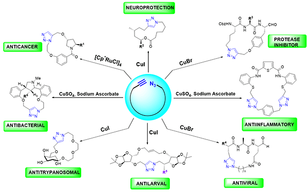 Synthesis of Bioactive 1,2,3-Triazole.gif