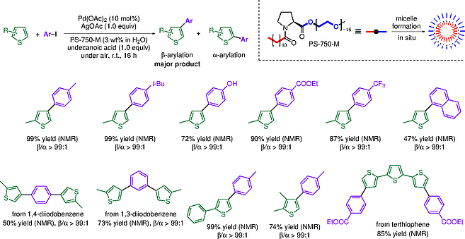 Intramicellar Pd-Catalyzed β-Arylation of Thiophenes.gif
