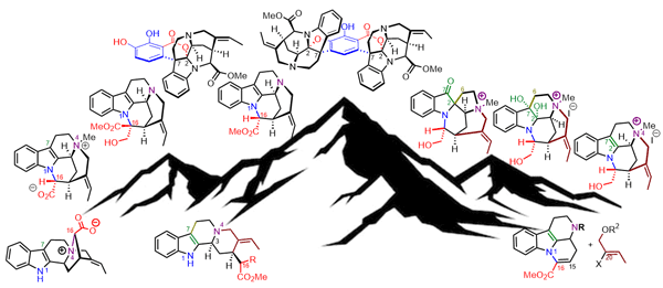 Total Synthesis of Mavacuran Alkaloids.gif