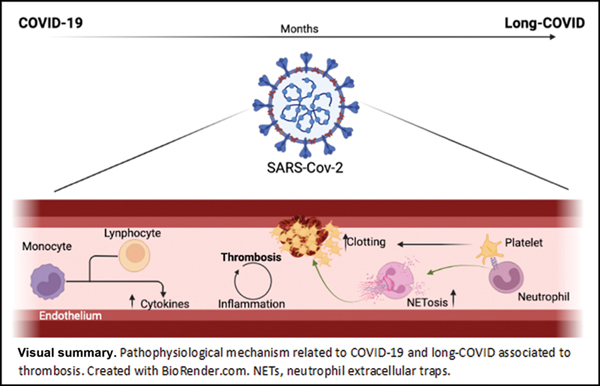 COVID-19 and Long-COVID Thrombosis.jpg