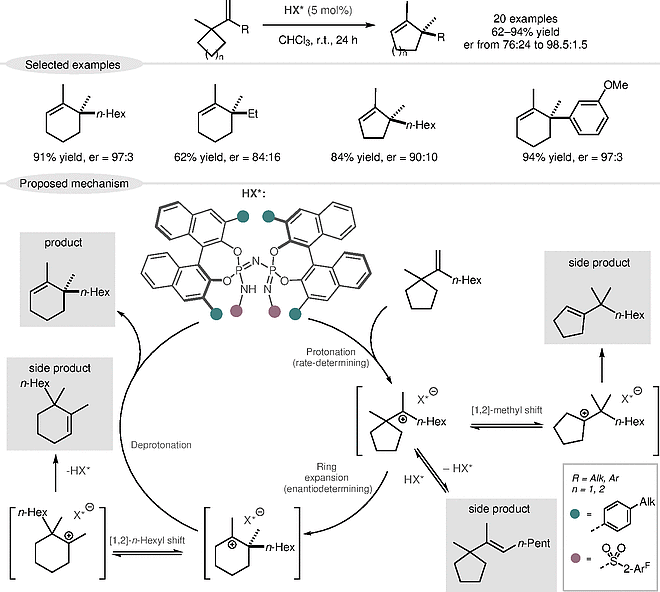 Catalytic Enantioselective Wagner–Meerwein.gif