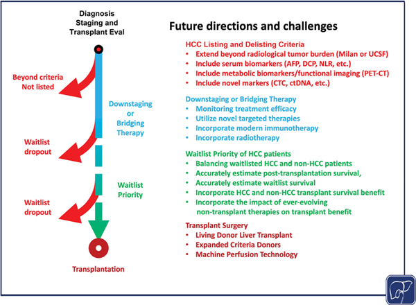 Liver Transplantation for Hepatocellular.jpg