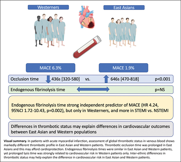 Ethnic Differences in Thrombotic Profiles.jpg