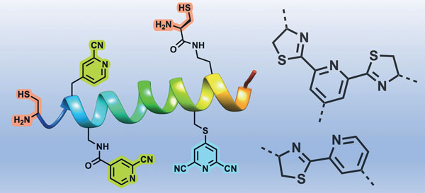 The Cyanopyridine–Aminothiol.jpg