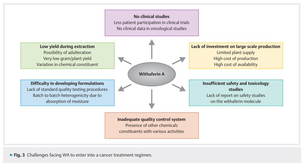The Potential Pharmacological Effects of .png
