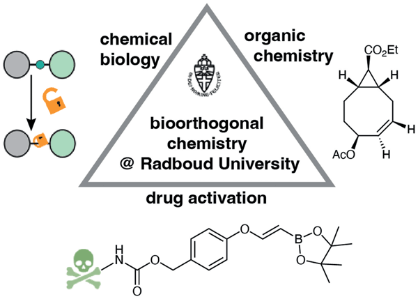 Bioorthogonal Chemistry at.gif