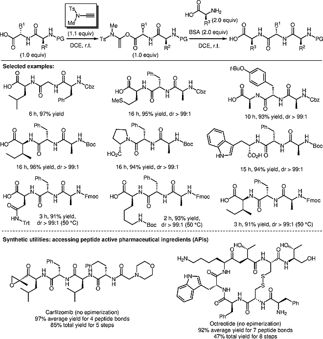 Synthesis of Peptides Inversely.gif