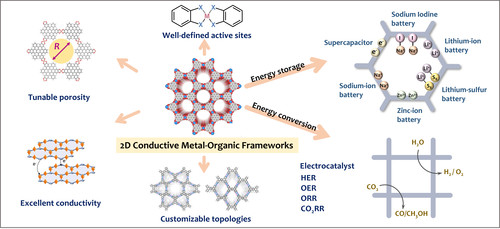 5-2D Conductive Metal–Organic.jpg