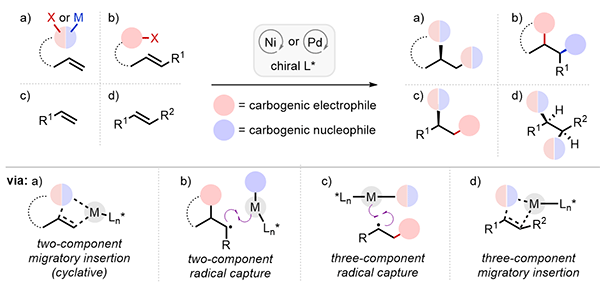8-Ni- and Pd-Catalyzed.gif