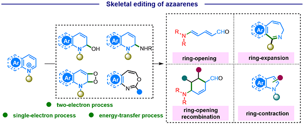 6-Recent Advances.gif