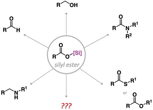 1-Silyl Esters as.gif