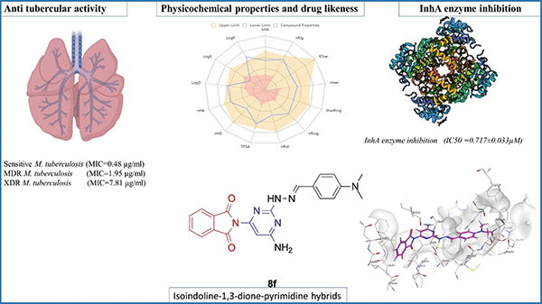 Synopen-Synthesis.gif