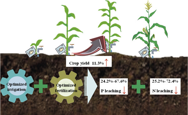 SCNOW-Optimizing Irrigation.jpg