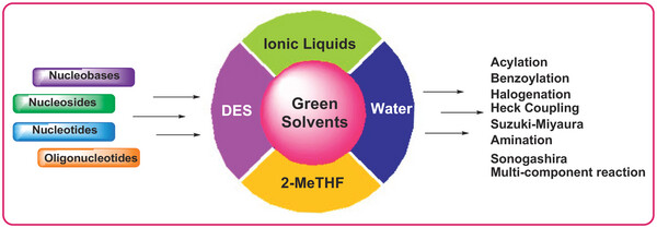 SCNOW-Achieving Sustainability.jpg