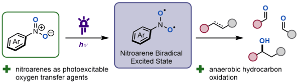 10-Photoexcited Nitroarenes.gif