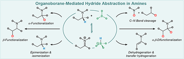 5-Recent Advances in Catalysis.gif