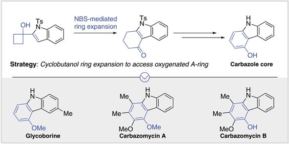 1-A Cyclobutanol Ring-Expansion.gif