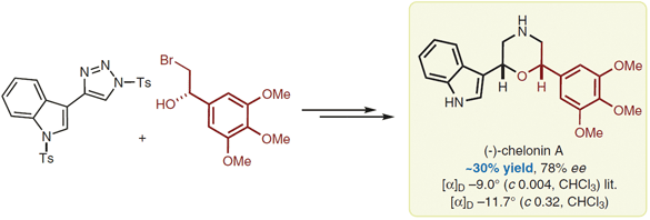 19-N-Tosyl-1,2,3-triazoles.gif