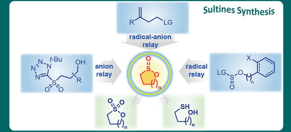 17-New Advances in Sultine Chemistry.jpg