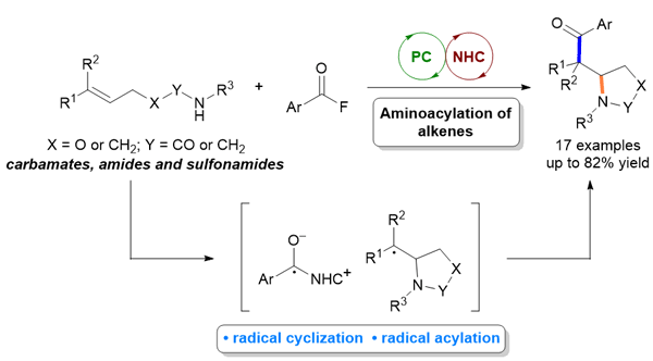 15-Aminoacylation of Alkenes.gif