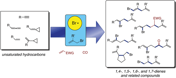 12-Bromine-Radical-Mediated.gif