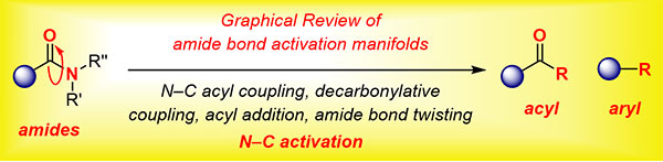 13-Amide N–C Bond Activation.jpg