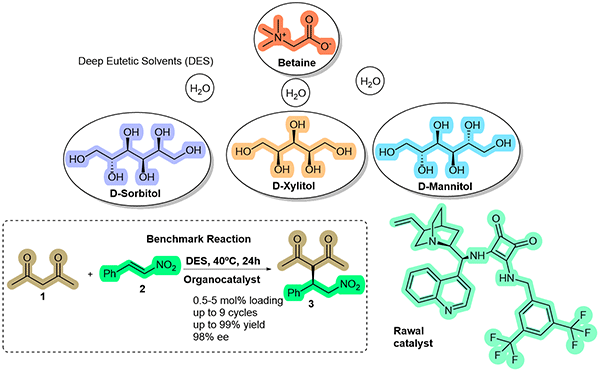 16-Sustainable Organocatalyzed.gif