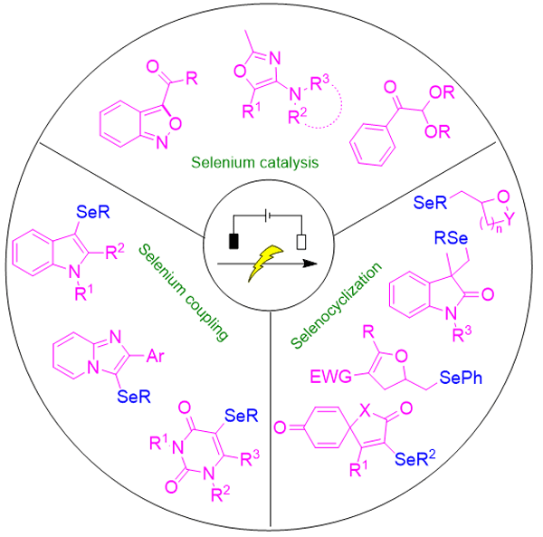 17-Recent Advances.gif