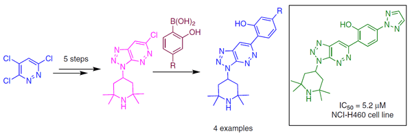Synthesis, Characterization, and Biological Applications.gif