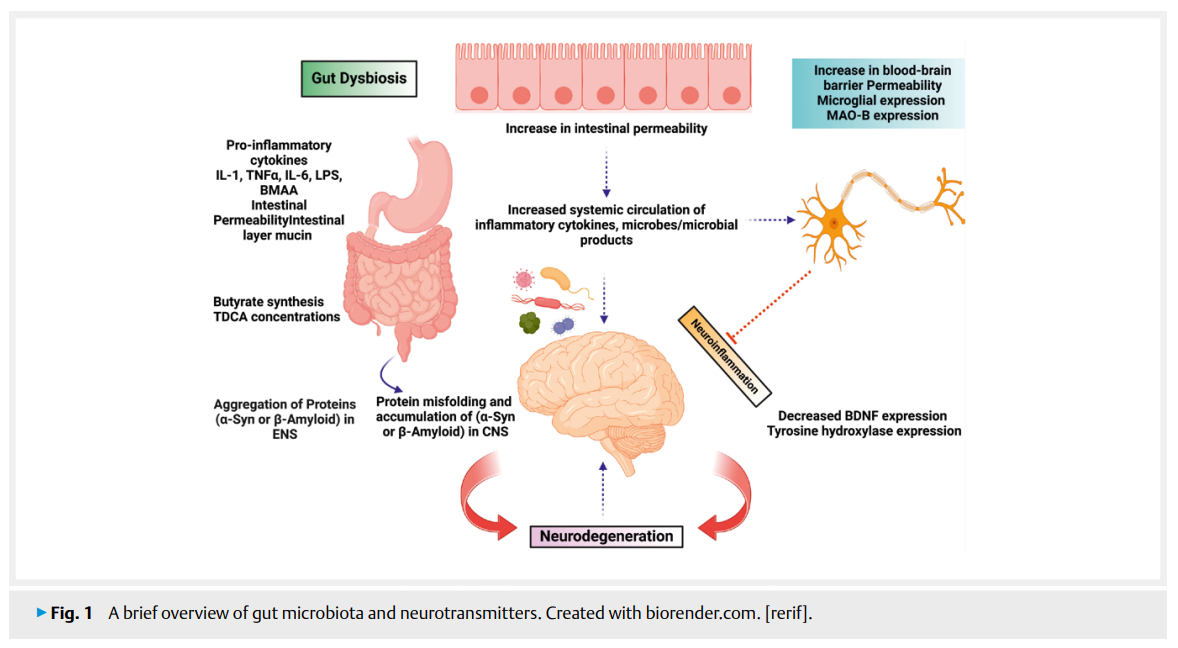 Gut Microbial 2.png