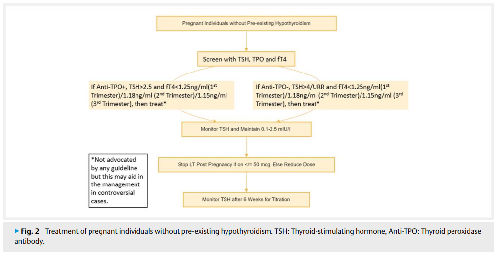 Thyroid Gland 2.png