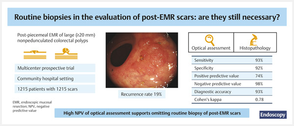 Optical assessment of scars.jpg