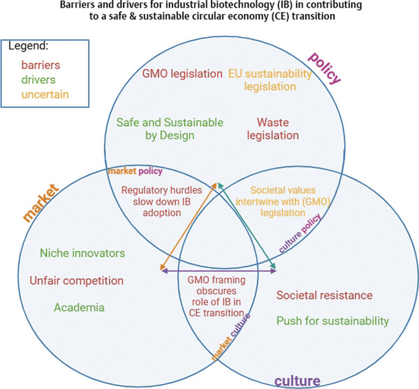 SCNOW-Transitioning to a Circular.jpg