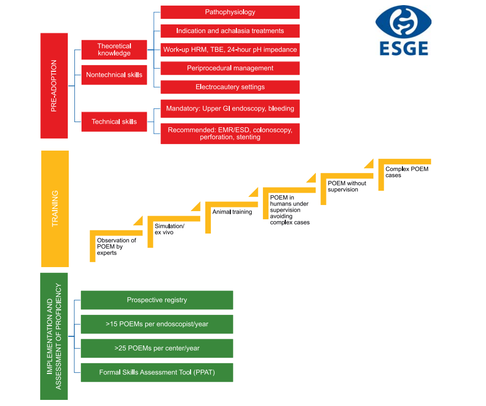 Curriculum for training 2.png