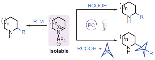 Cyclic Imine-BF3 Complexes as.gif