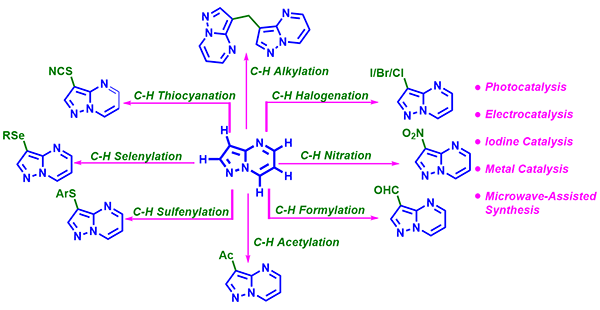 Recent Advances in the Synthesis.gif