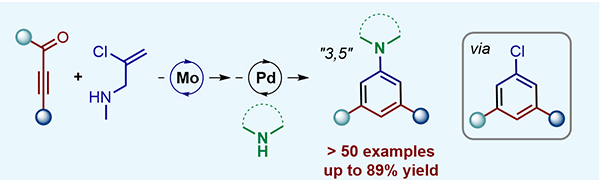 Synthesis of 3,5-Disubstituted.gif