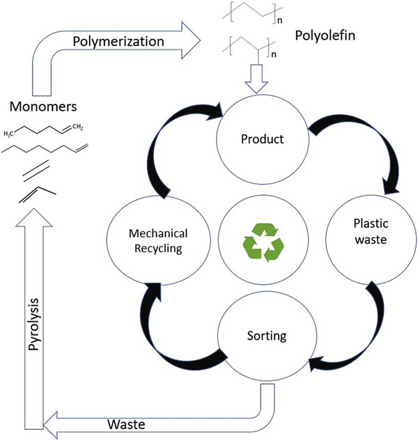 Polyolefins in the Circular.jpg
